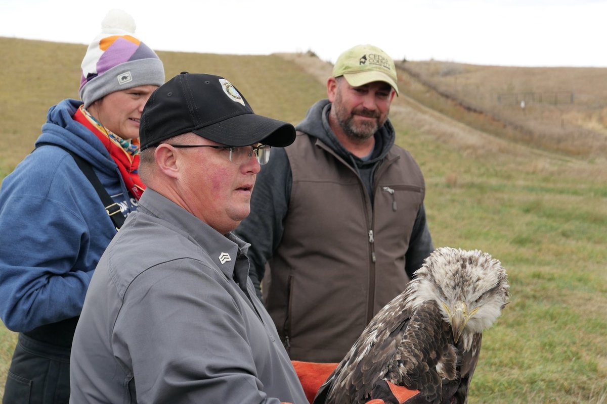 GlassEntGroup's tweet image. Flock to your TV stat for a BRAND NEW episode of #HeartlandDocs 🦅 premieres tonight at 9/8c on Nat Geo Wild 🐾