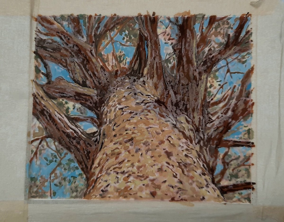 dasilvakiko's tweet photo. Comezo a colorear unha nova páxina de BAIXO A SOMBRA DAS PEDRAS FLOTANTES, xa vai quedando menos...

https://t.co/aPXmfXzW1V https://t.co/5K1P2usba0