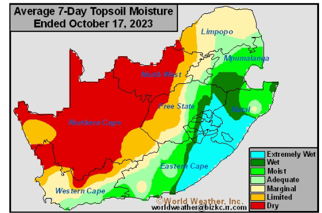 WandileSihlobo's tweet photo. The past weeks have nicely improved soil moisture in much of South Africa’s summer crop regions. The maize and soybean planting is underway and should benefit from the excellent soil moisture for germination and further growth.

The map shows NW in bad shape. But things aren’t that hectic. We have good soil moisture from the past seasons that should support planting.

Also, the South African Weather Service sees prospects of good showers until the end of the year, with El Nino impact set to be visible from early 2024.

So, I remain hopeful about the 2023/24 season.

All the best to the great South African farmers (and farm workers) hard at work this time of the year.