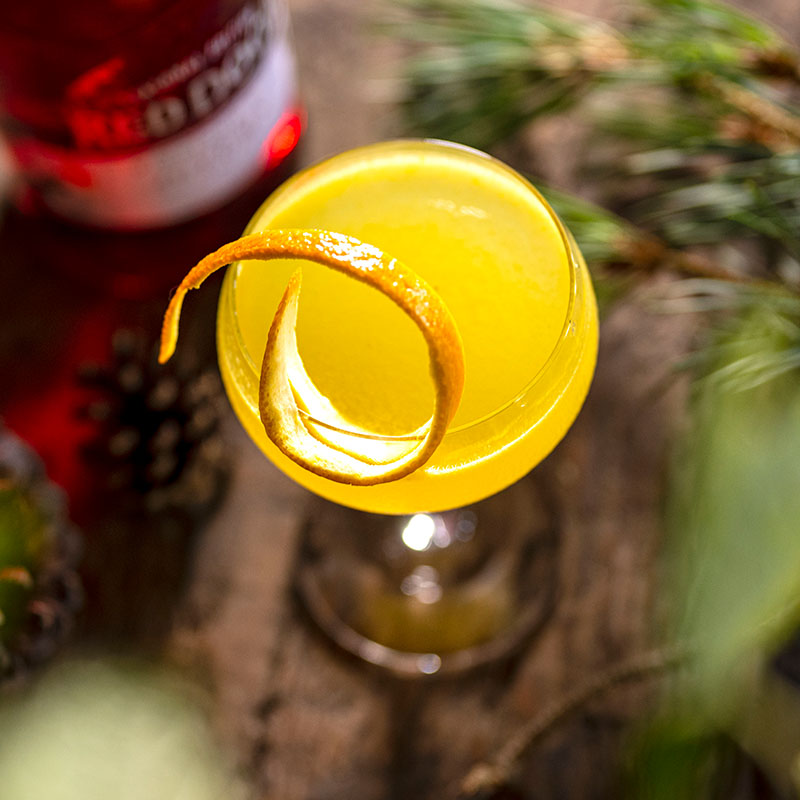 Now this signature serve really is the bee's knees!

This beautifully citrussy cocktail is complimented by the sweetness of honey syrup and notes of Scottish blackberries from our Red Door Gin with Autumn Botanicals.

Discover the recipe: bit.ly/3oyZjzm

#RedDoorGin