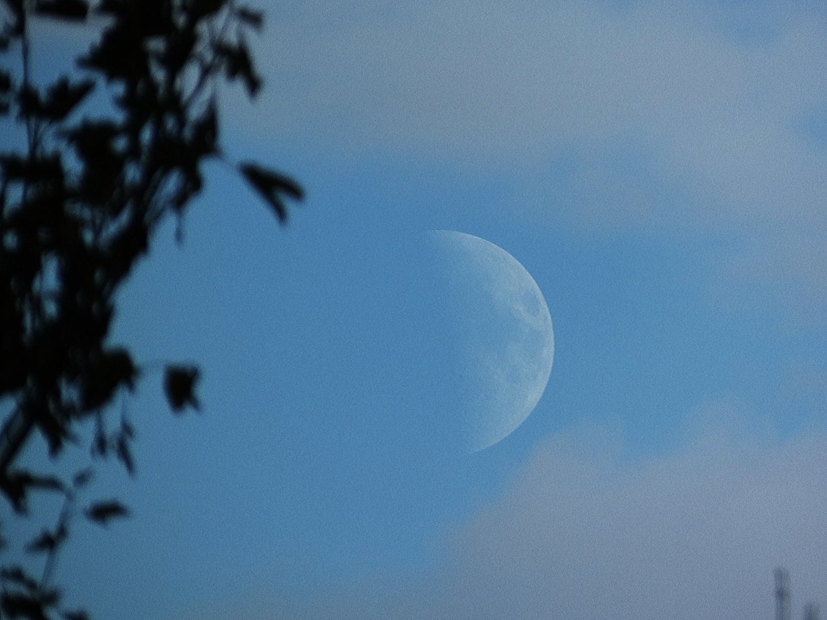 PeterLewis55's tweet photo. For tonight's #ObservetheMoon A bit of a repeat from yesterday. Here's some shots at 5pm in London. Waxing now at 44%. I may be distracted for the next few hours! @StormHour @ThePhotoHour @MoonHourSocial https://t.co/a6Uj8J265M