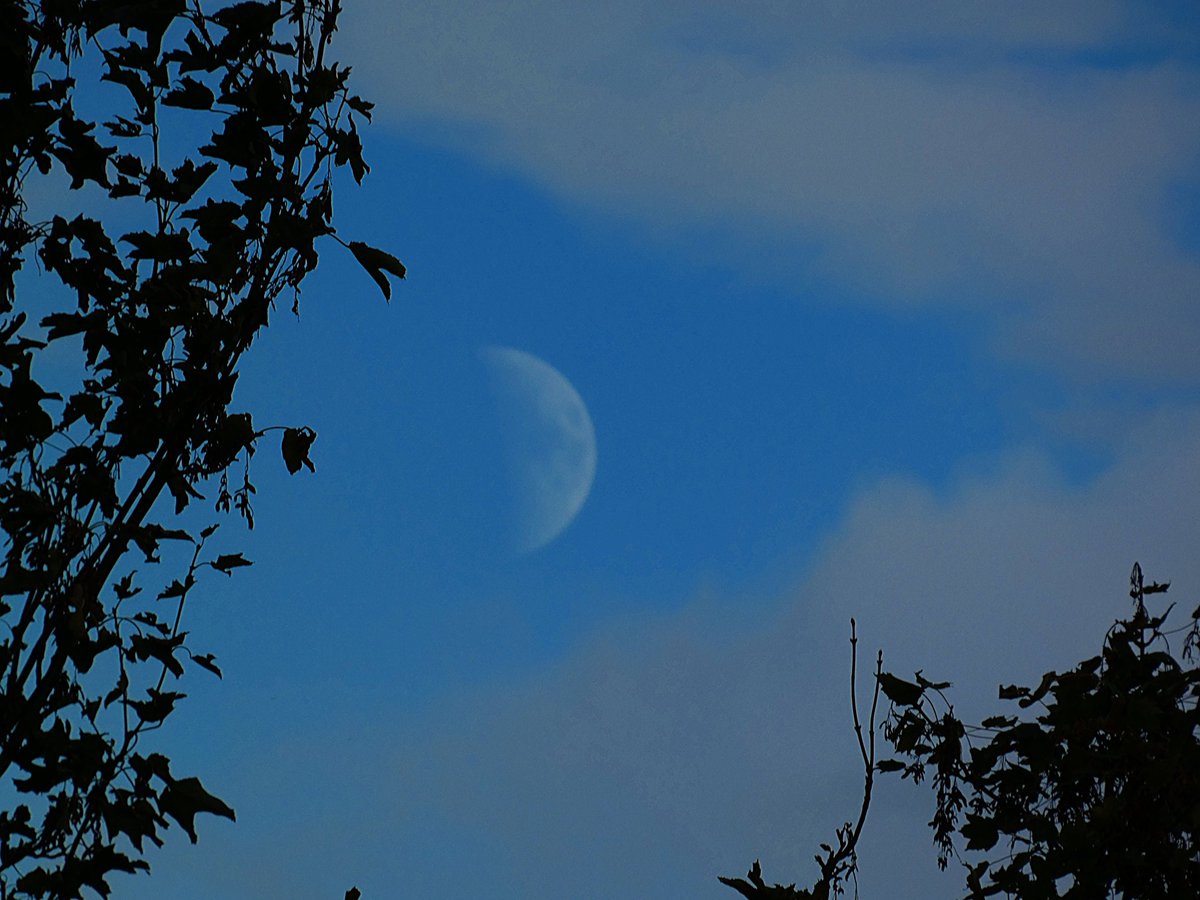 PeterLewis55's tweet photo. For tonight's #ObservetheMoon A bit of a repeat from yesterday. Here's some shots at 5pm in London. Waxing now at 44%. I may be distracted for the next few hours! @StormHour @ThePhotoHour @MoonHourSocial https://t.co/a6Uj8J265M