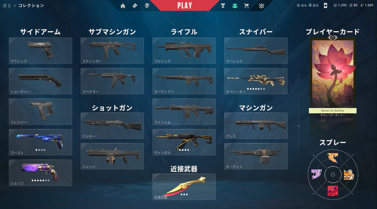 Vendo ACC de LAS con estos skins y 1290 VP pa comprar, con rango en inmortal 1🥰