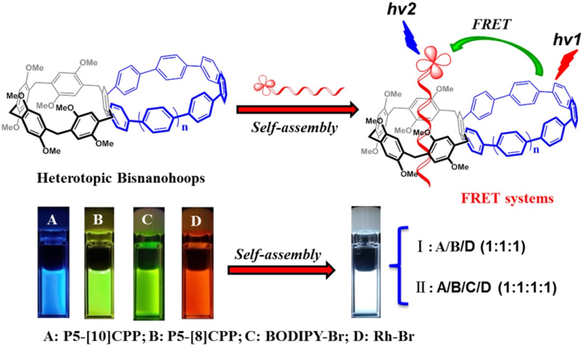 📣 Don't miss Hua Jiang et al.'s recent article 😍⬇

Efficient manipulation of Förster resonance energy transfer through host–guest interaction enables tunable white-light emission and devices in heterotopic bisnanohoops 🔗doi.org/10.1039/D3SC04…