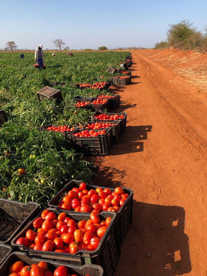 Jean Claude NIYOMUGABO tweet media