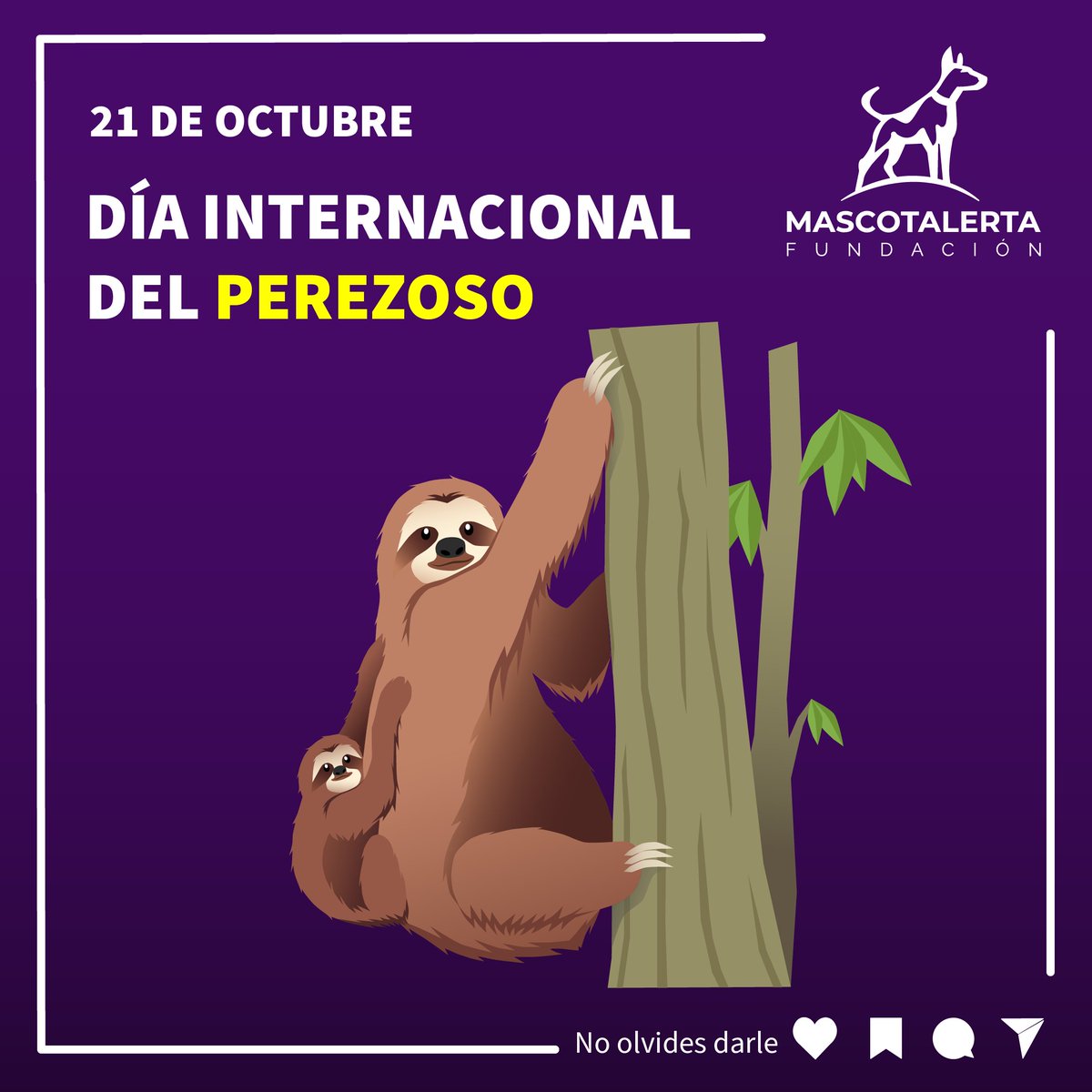 ¡APRENDAMOS SOBRE LOS PEREZOSOS! 🌲🦥🥱😴💤
.
.
#DiaDelPerezoso #21Octubre #Perezosos #VidaSilvestre #ResponsabilidadAnimal #ProteccionAnimal #FundacionMascotalerta
.
@informetierra @laSUBDERE @TenenciaRespGob @colmevetchile @FavetUchile @MedVetUC1 @asecvech @MMAChile @sagchile