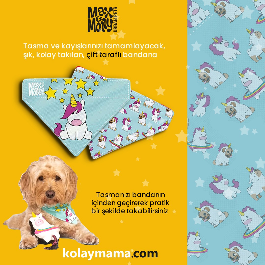 kolaymama's tweet photo. 🦄 unicorn aşkına 🧡
Max & Molly'nin, patili dostlarınız için harika tasarımlara sahip bandanaları şimdi https://t.co/Q7lR9dwUAY stoklarında!
⭐️ 2 in 1 çift taraflı olması sebebiyle iki güzel tarz bir arada !
#kolaymama #kolaymamacom #unicorn #maxmolly https://t.co/ajEHu0JCmX
