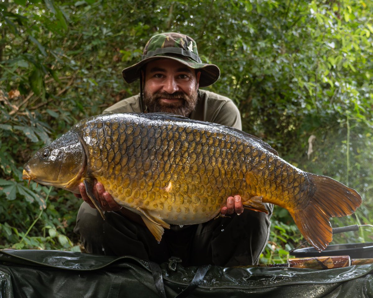 Neil Golden (@golden_ng) on Twitter photo 