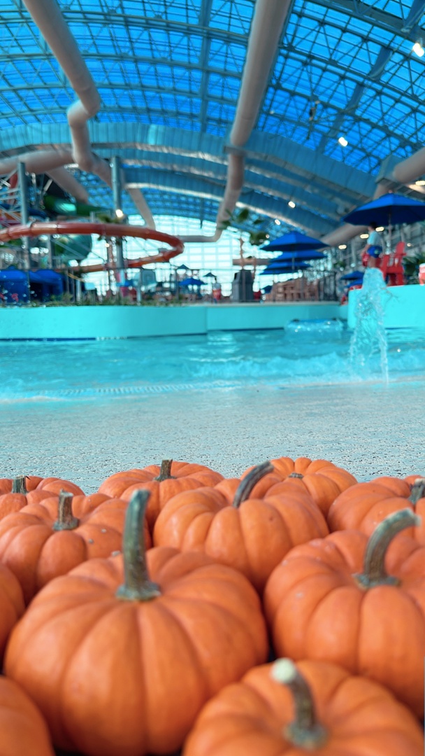 Are you looking for something to do today?  Visit Epic Waters for a full weekend of activities!  At 2pm today we are kicking off our Pumpkin Plunge along with a dance party and more! tinyurl.com/PumpkinPlunge2… 🎃