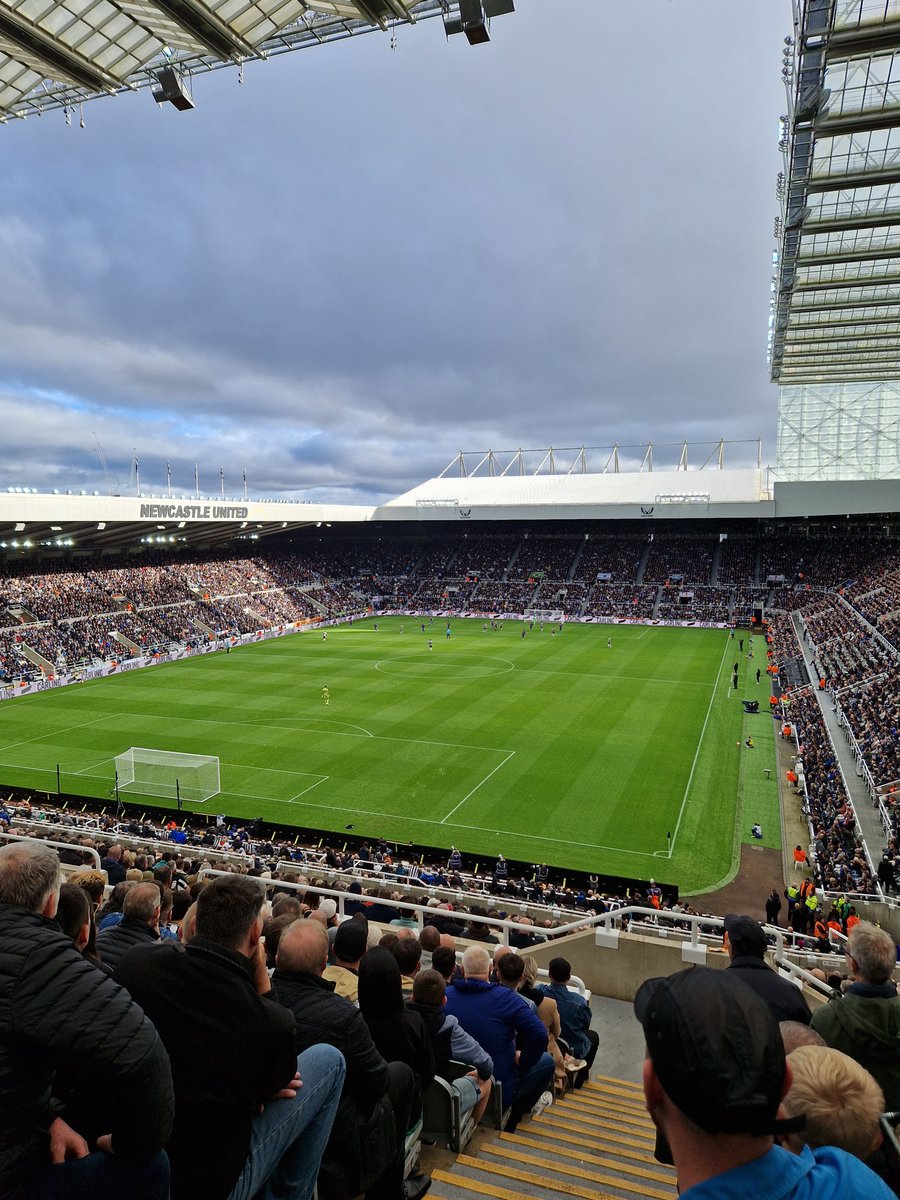 Mr Hattie tweet media