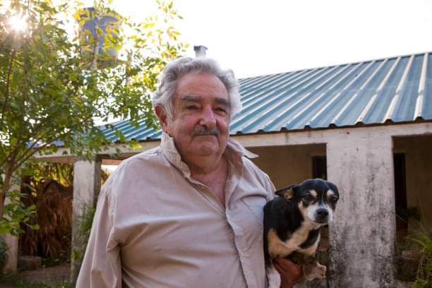 "Y por qué vamos a ser nosotr@s más importantes que el resto de animales.." 🐼
(Pepe Mujica)