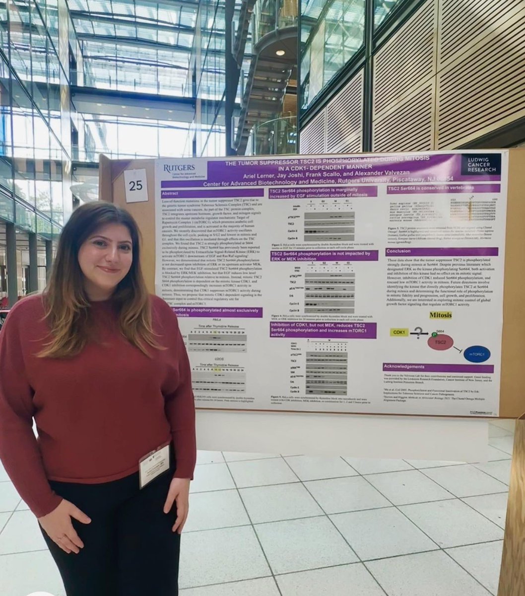 lerner_ariel's tweet photo. So grateful to have presented at the Rutgers Cancer Institute-Ludwig Princeton Branch at Princeton University Annual Cancer Research Symposium this past Tuesday! Big thanks to my collaborators, lab, and friends and family for their support and encouragement. To many more! https://t.co/2TExWCmyIY