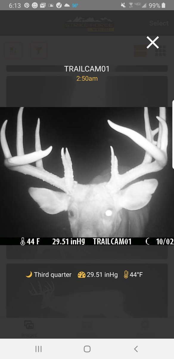 Finally got my mount  back today. Very happy how it turned out.
This buck has been the smartest deer I have ever encountered. 
I've been trying to bag him for five seasons. Well over ten years old.