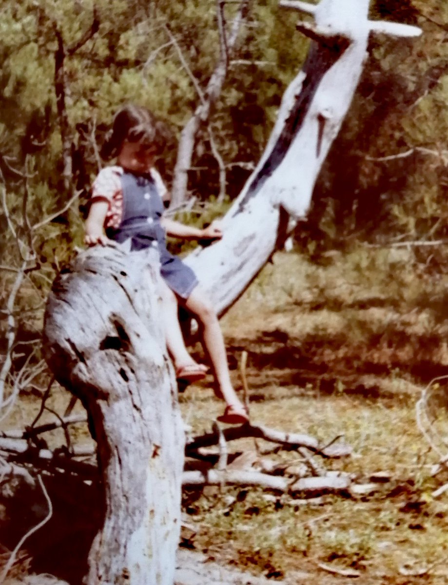 Vanessa 😈 Tom's Crew😈 DirtyBirds🐦 tweet media