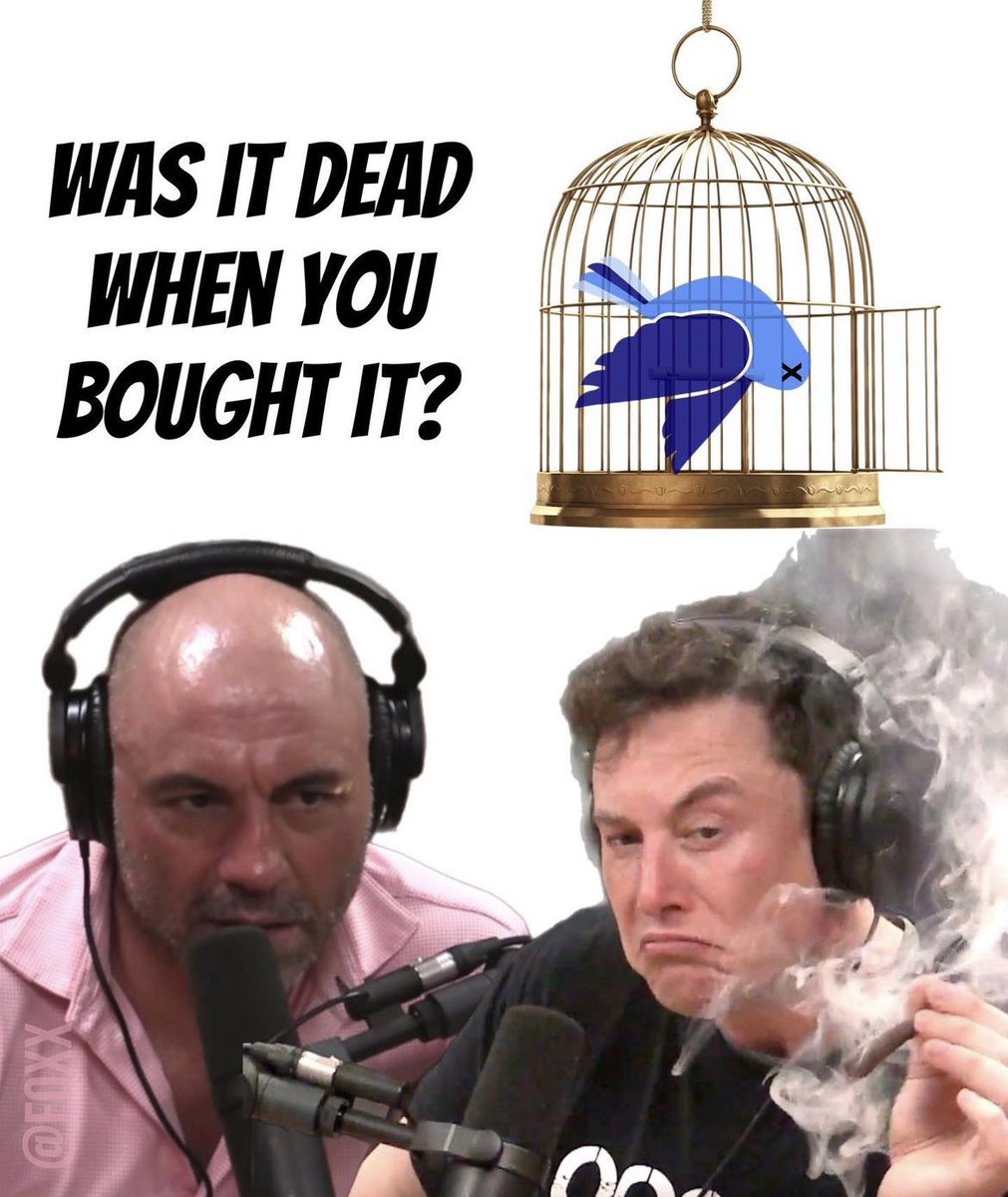 Foxx 🦊 tweet media