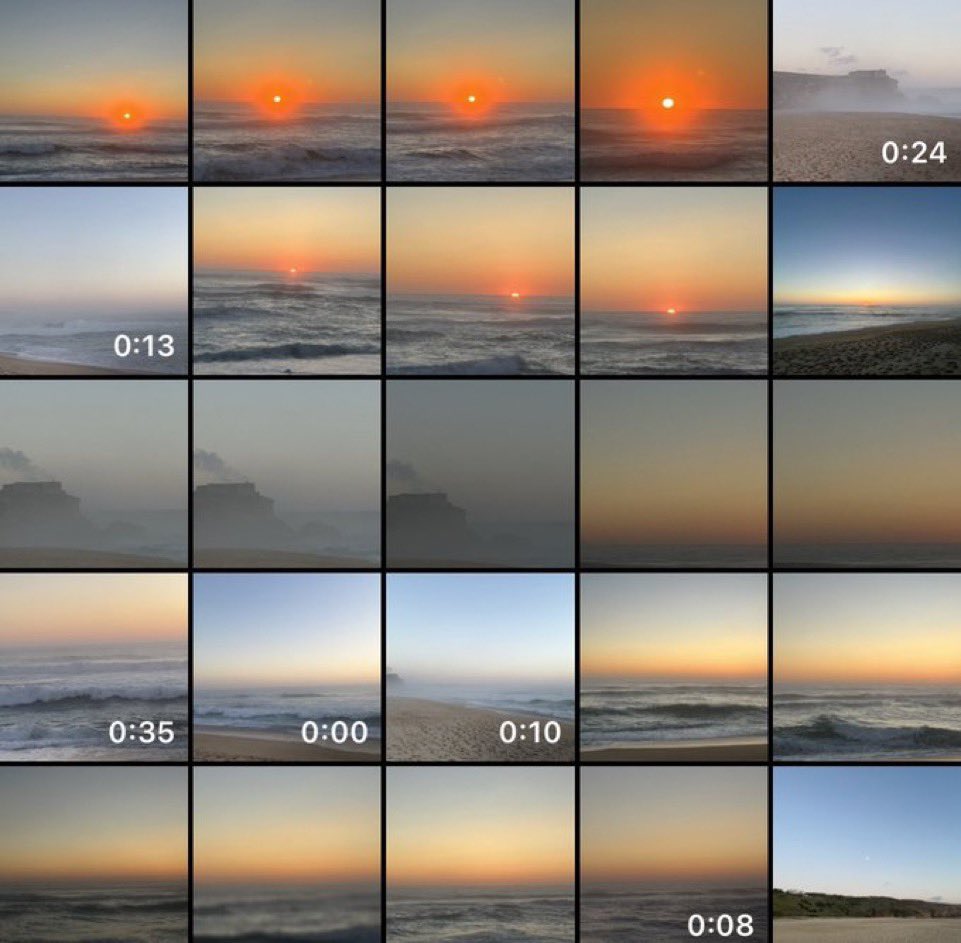 Yaya🧬 tweet media