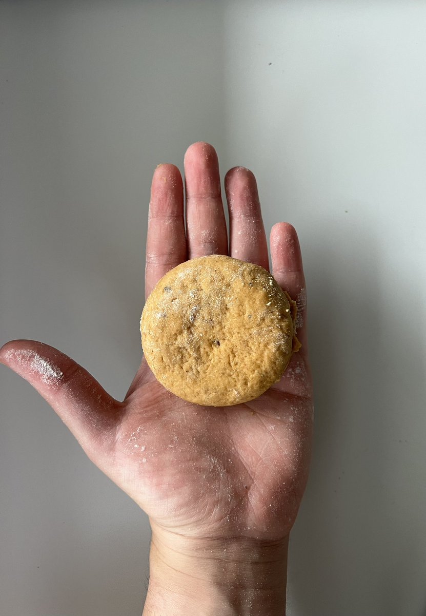 flapjack horseman 🍉 tweet media