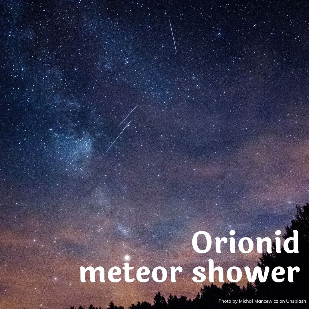 SaF_Spellworks's tweet photo. The #Orionid #MeteorShower will peak between Oct. 21 and Oct. 22 and will remain active until early November.

Don't look directly at #Orion to find meteors, as the shooting stars will be visible throughout the sky.

excerpted from @spacedotcom https://t.co/PoOUdRtWih