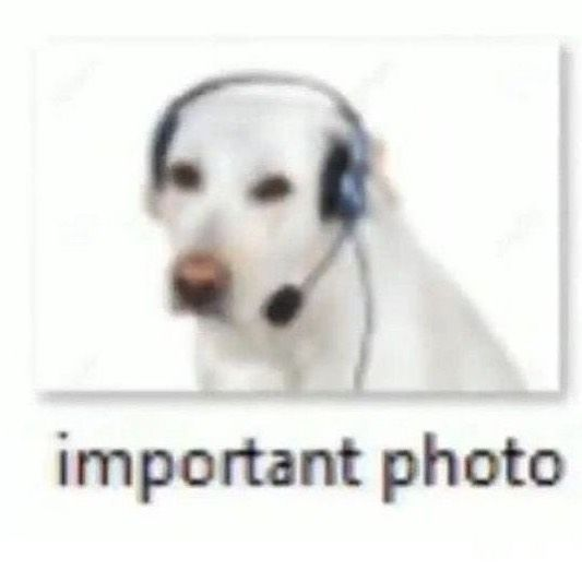 ChezSandvich's tweet photo. @contextdogs he looks like https://t.co/y2yLDbFYdv