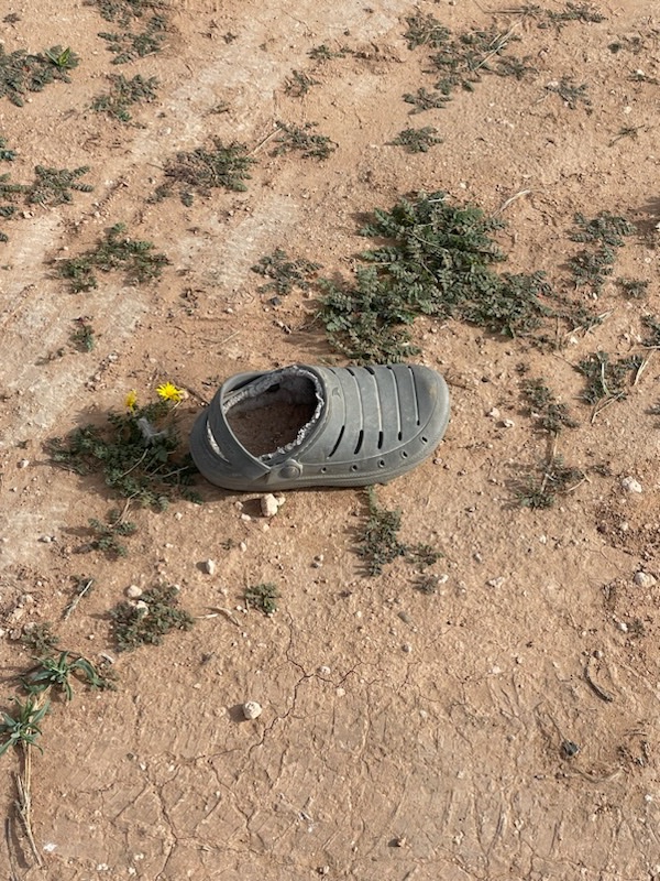 Ptrk_Ls's tweet photo. @tomhanks are you in Lubbock? https://t.co/Z1uROrKtBD