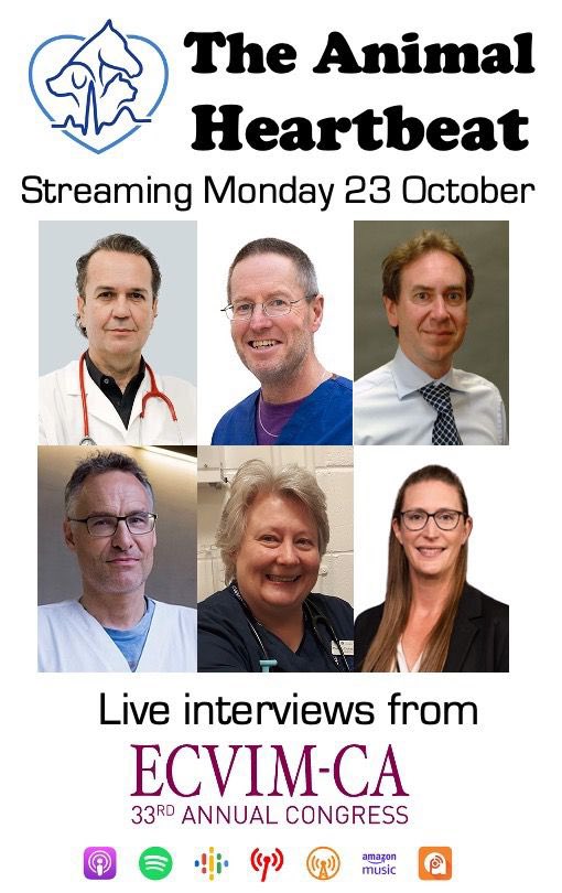 Jose Novo Matos (@j_novomatos) on Twitter photo <a href="/heartbeat_pod/">The Animal Heartbeat podcast</a> Donāt miss this MONDAY 6 LIVE INTERVIEWS from ECVIM with 6 TOP VET CARDIOLOGISTS! #vetcardio <a href="/heartbeat_pod/">The Animal Heartbeat podcast</a> Donāt miss this MONDAY 6 LIVE INTERVIEWS from ECVIM with 6 TOP VET CARDIOLOGISTS! #vetcardio
