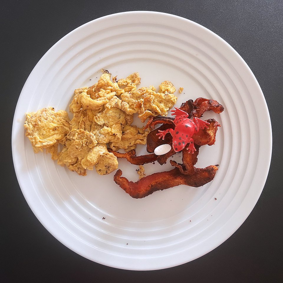 Made scrambled eggs and bacon this morning to go with my #HIV medication.