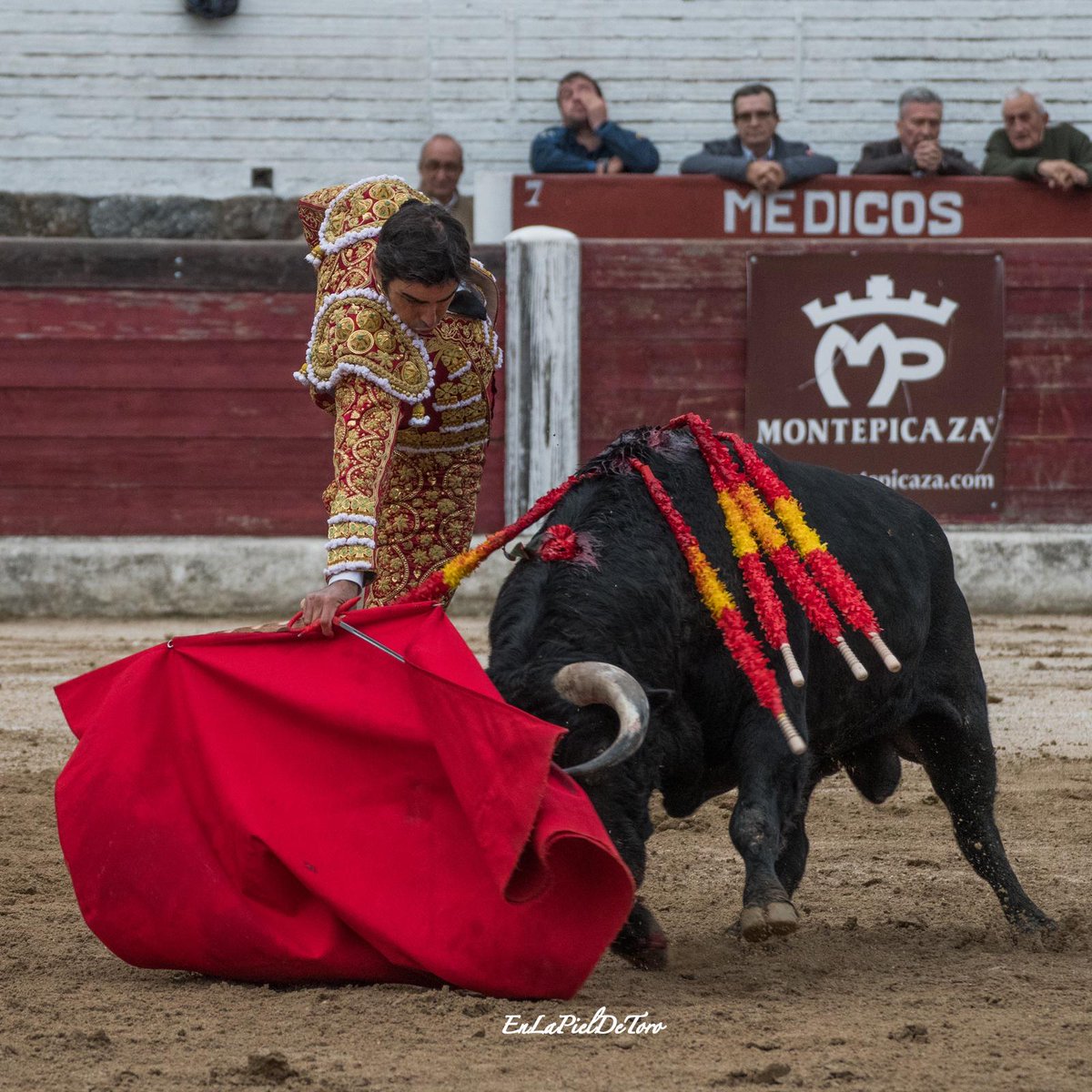 burladerotv's tweet photo. Silencio para Miguel Ángel Perera en el cuarto toro de El Pilar en Arenas de San Pedro
https://t.co/P730Oq1zAS @toros_ELPILAR @NachodV10 @uruena_jimenez https://t.co/9408zLnrk7