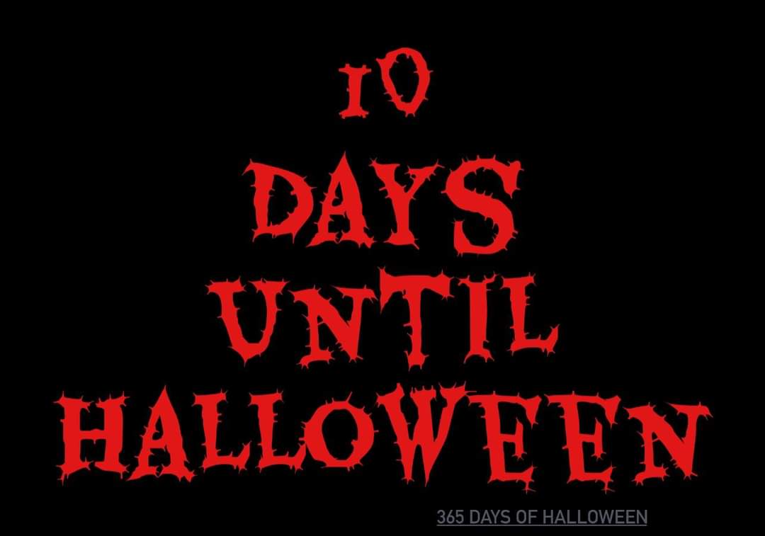 𝒱𝒾𝒷𝑒𝑜𝓈𝒶𝓊𝓇𝓊𝓈 (@vibeosaurus) on Twitter photo 