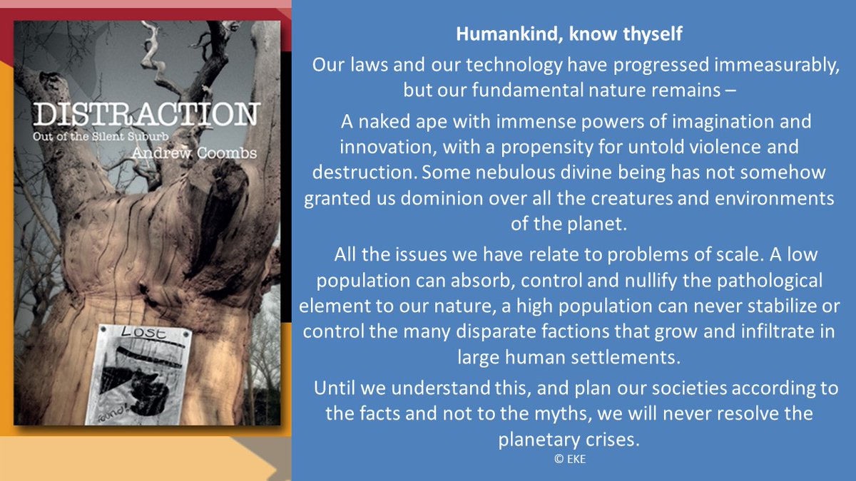 Distraction_AC's tweet image. 