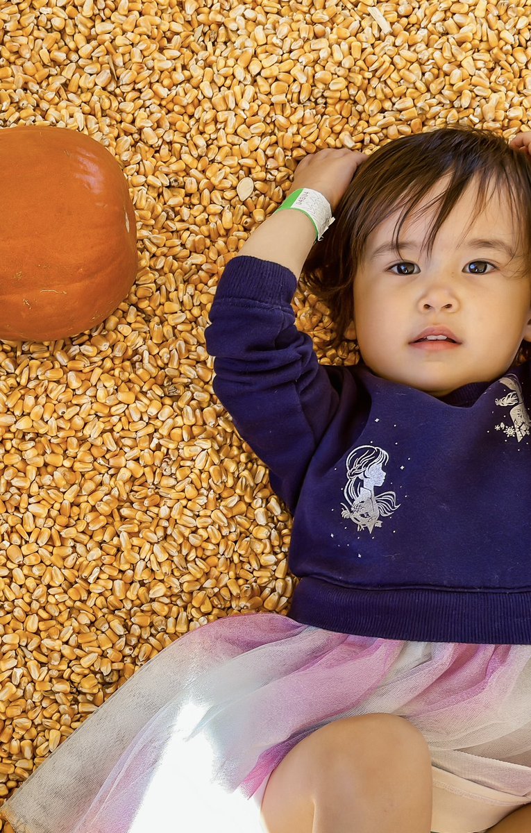 VHong_EdD's tweet photo. Living the best Fall life today with my sweet girls! https://t.co/YFc40vUbcS