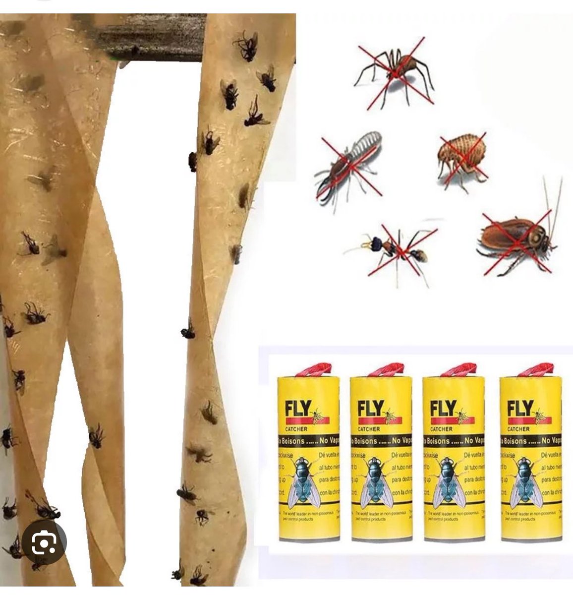 stubpb's tweet image. @realDonaldTrump you can get #flypaper in the #uk #justsaying