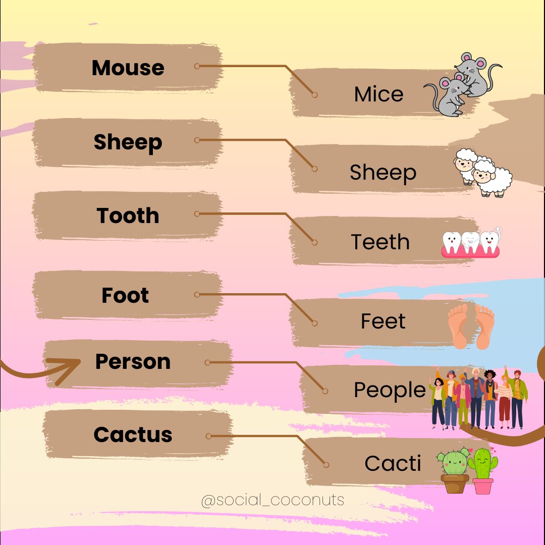 Social_Coconuts's tweet photo. Here are more tips for all levels👇 https://t.co/tZwZkyoYz4