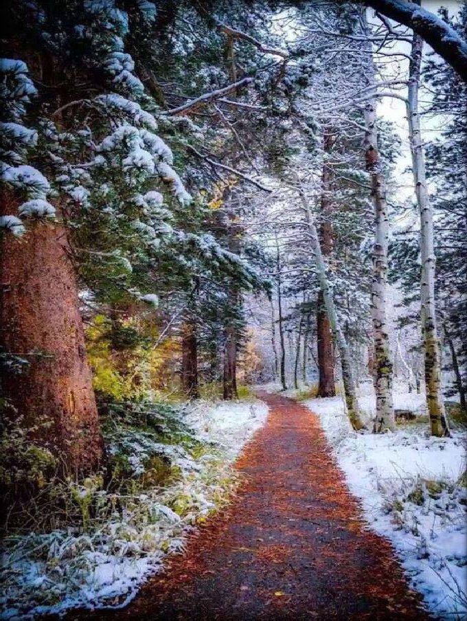 Crossroads:

On our journey through life, we cross many paths of the unknown.
Life is a mystery to be unsolved and challenges and battles to face.
With a pure heart and an awakened mind, I will meet you at the crossroads of life.