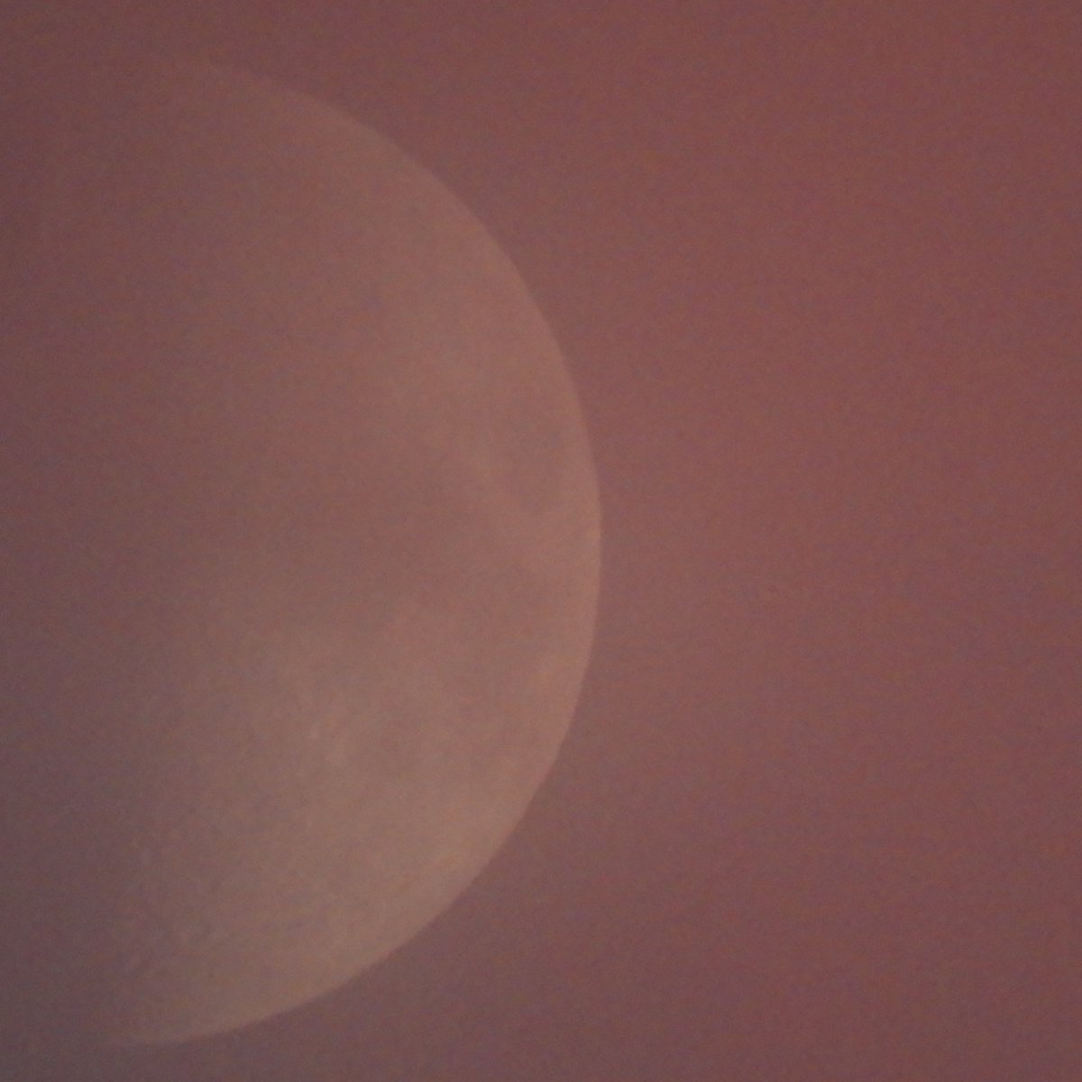 SpitfireSteve's tweet photo. Moon shots on #MoonObserversDay 18.18, 21/10/23 @MoonHourSocial #ObserveMoon #NASA https://t.co/2oc68oT4P2