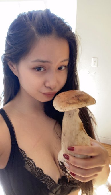 name a performer as hung as my king bolete 👀 https://t.co/dP65ebceVX