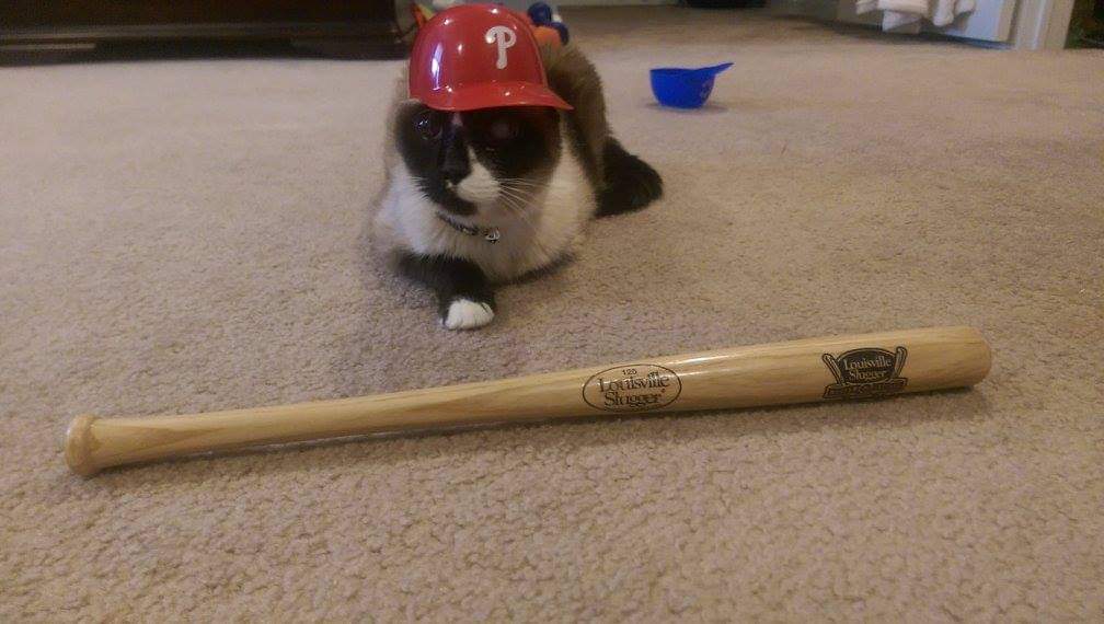 ChemistryDenise's tweet photo. Go #Phillies https://t.co/budRRbNTiQ