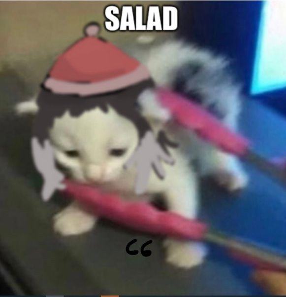 "salad"

66 days before Christmas! — #bsd