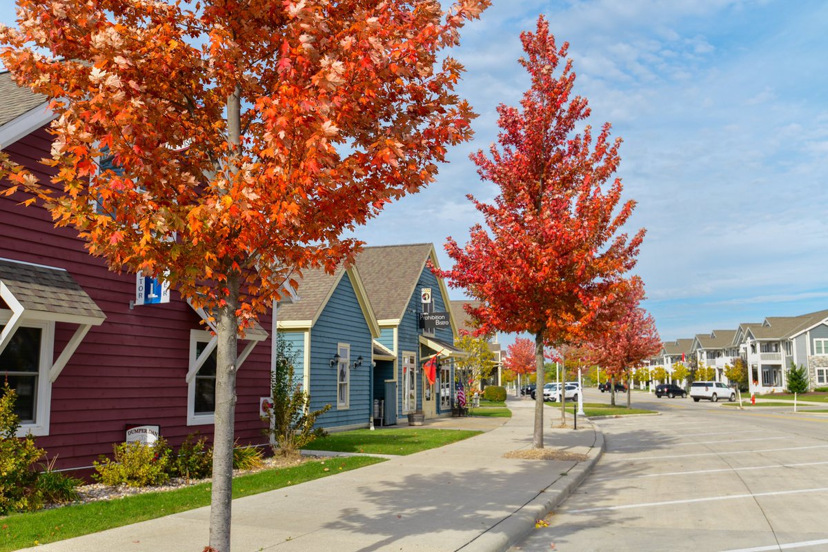 visitsheboygan's tweet photo. The fall colors in Sheboygan are really popping! A lot by the lakefront and riverfront are already at peak 🍁🧡🫶🏼

#visitsheboygan #sheboygan #travelwisconsin #fallvibes #fallfeels #fallover #fallseason https://t.co/eK3gZyfH8J