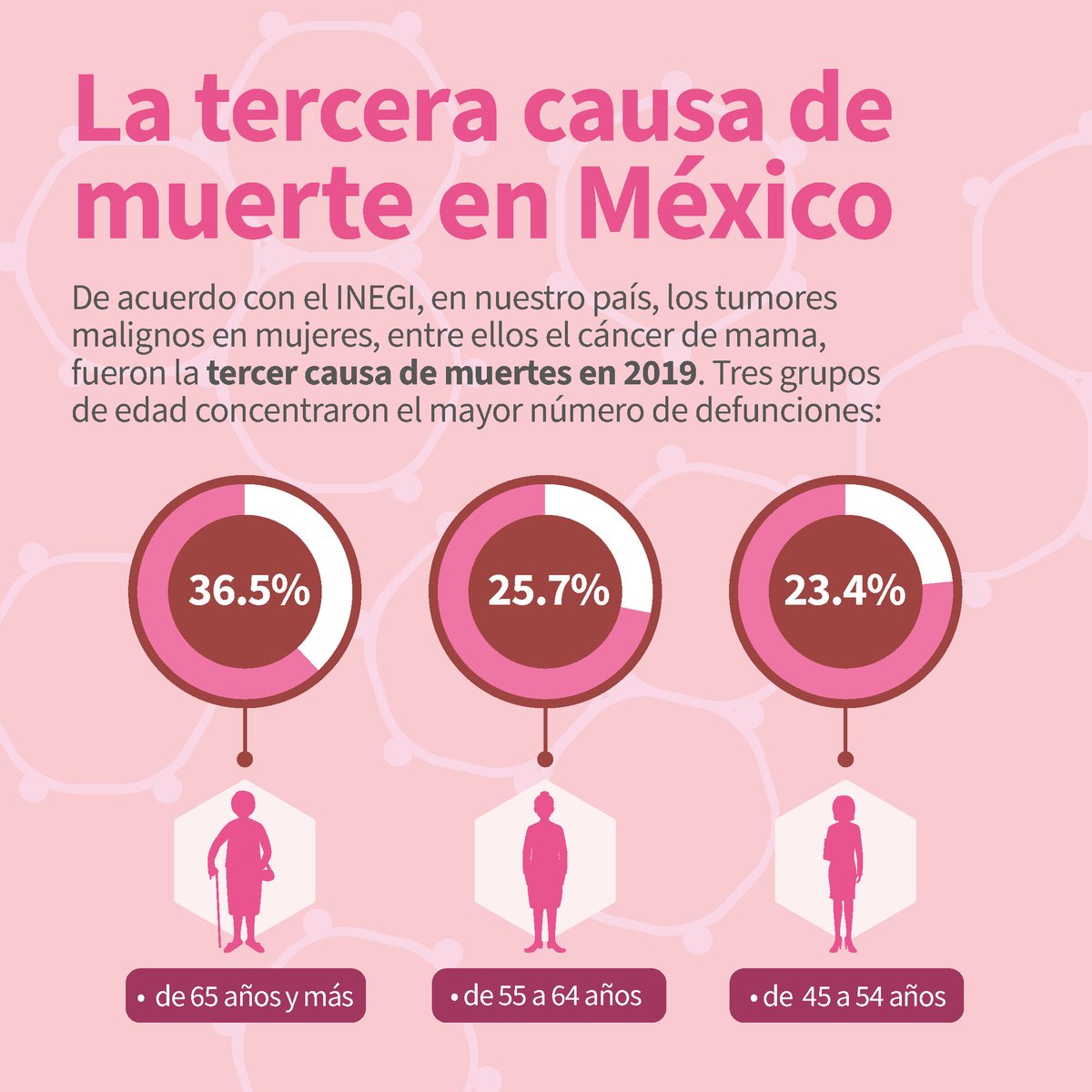 RdelConsumidor's tweet photo. 🎀 Hoy en el Día Internacional de la Lucha Contra el Cáncer de Mama, te recordamos la importancia de la prevención y la oportuna detección, la cual puede salvar tu vida. #19DeOctubre #OctubreRosa https://t.co/kLjWZDvnLK