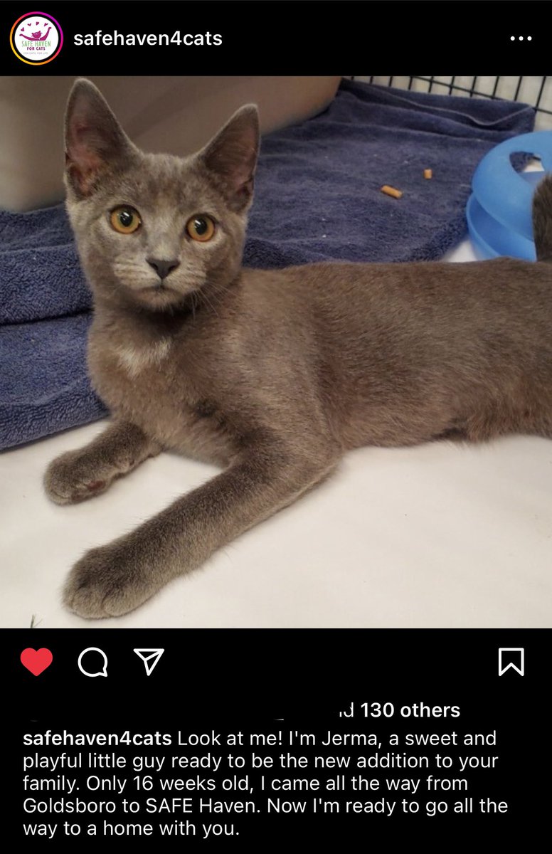 bugkween_'s tweet image. His name…