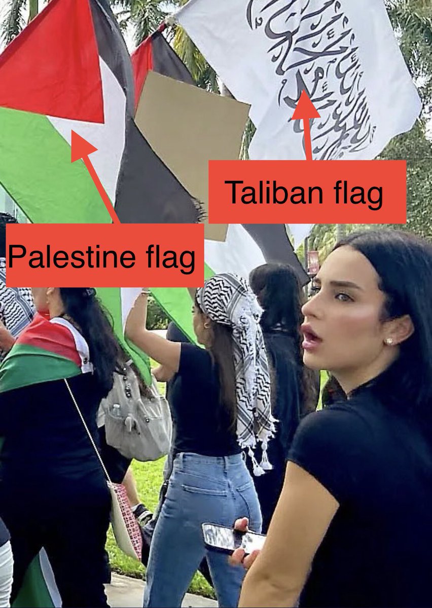 TimKennedyMMA's tweet photo. I’m sure these women protesting at this pro Palestine movement would love to understand just how much the Taliban appreciates a strong, educated, and independent woman. Especially one with her hair uncovered. https://t.co/JHu3bYf1do