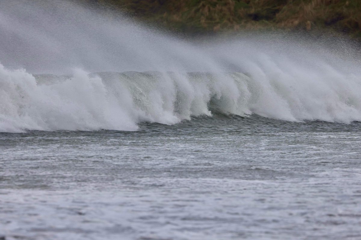 Orkney Uncovered tweet media