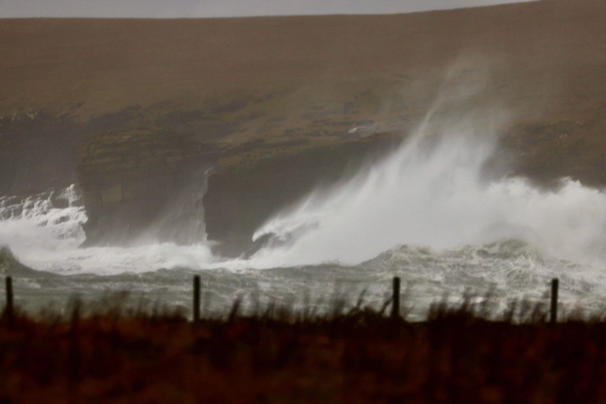 Orkney Uncovered tweet media