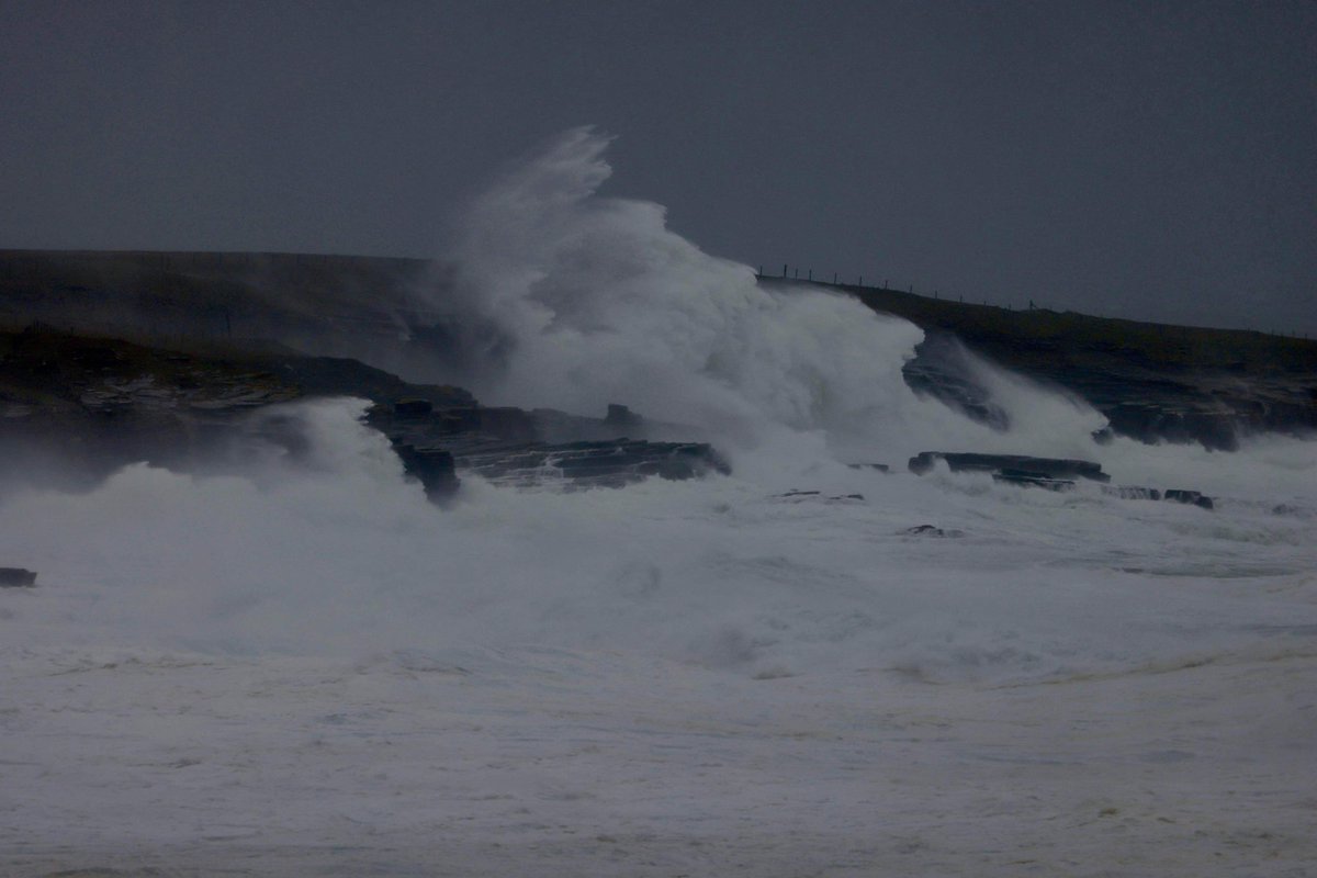 Orkney Uncovered tweet media