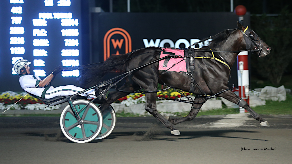 Offering condolences to the connections of millionaire pacer Rockin In Heaven, who passed away after a tragic accident at the age of 11 → bit.ly/46EJDz2 #harnessracing