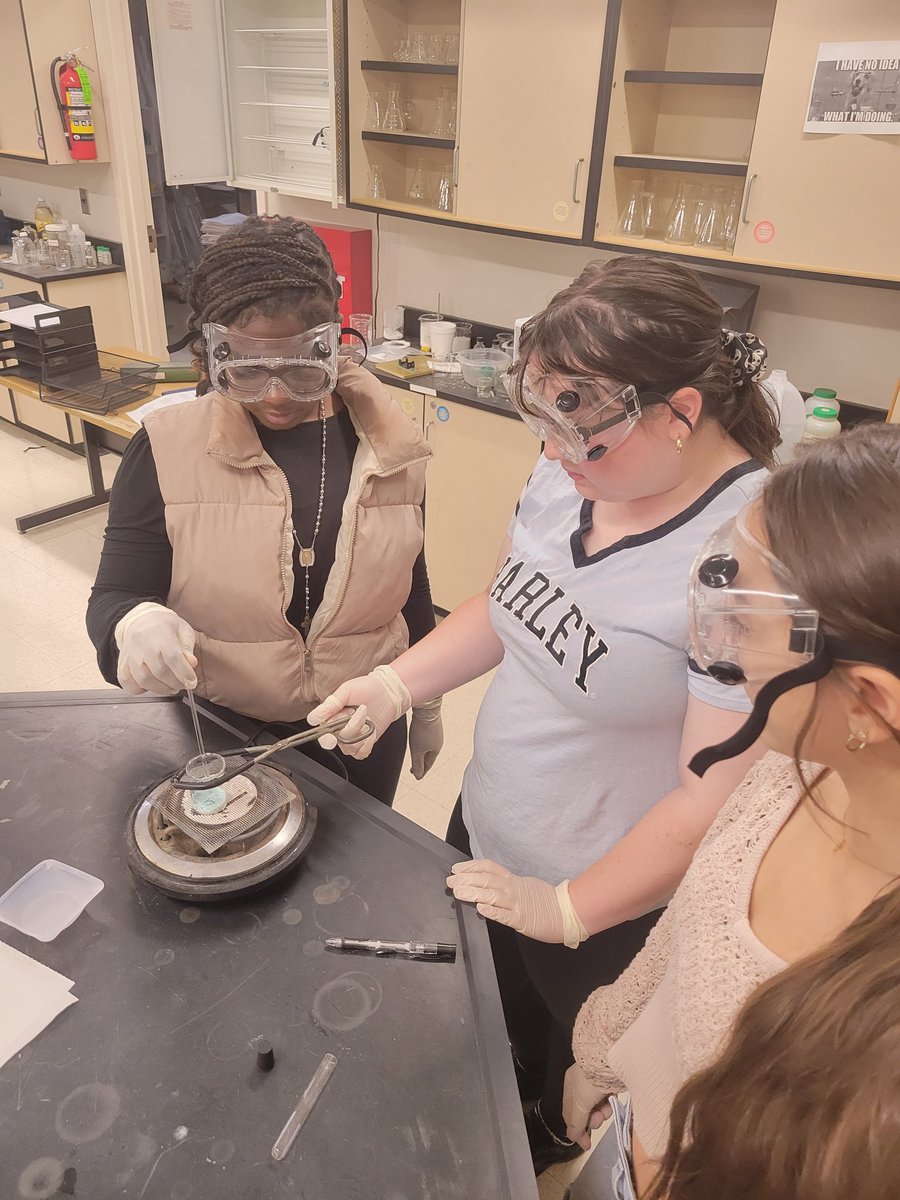 THScience's tweet photo. Chemistry students were busy in the lab today learning about moles, molecular formulas, and molar mass in preparation for Mole Day on Monday! @tupeloschools @TupeloHigh https://t.co/O1wCQSDScF