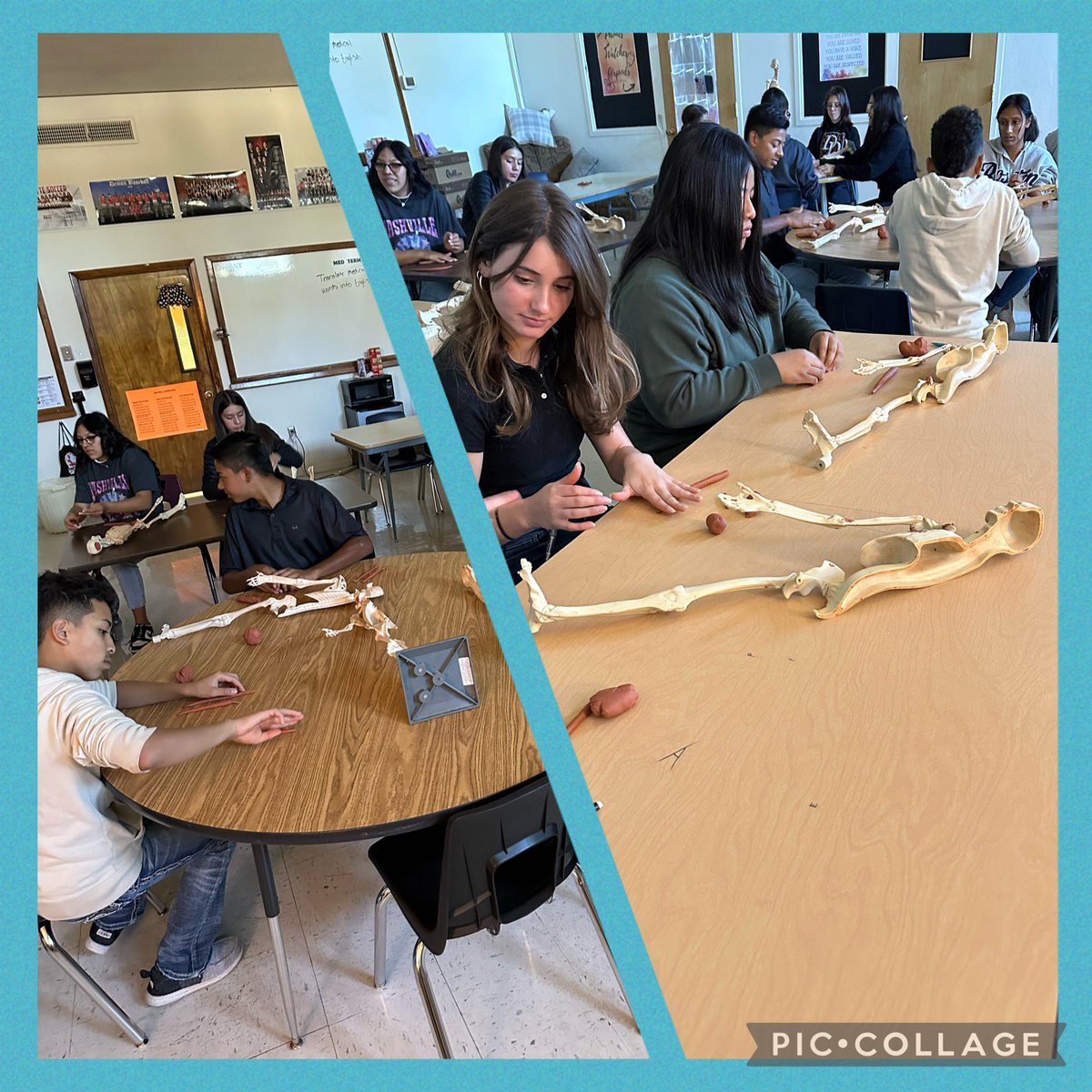 dhs_together's tweet photo. From@Mrs. Lanham @a_rae82 We are working with clay today as we learn about muscles! 💪🏻 #clayart #projects @dumasisdcte #muscularsystem https://t.co/BFlICoQA3m