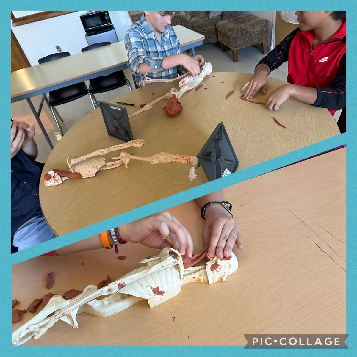 dhs_together's tweet photo. From@Mrs. Lanham @a_rae82 We are working with clay today as we learn about muscles! 💪🏻 #clayart #projects @dumasisdcte #muscularsystem https://t.co/BFlICoQA3m