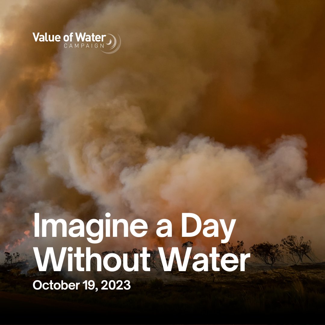 Our actions today shape the water realities of tomorrow.💧 #ValueWater #ImagineADayWithoutWater 🚰 Find more info at bit.ly/2JITEjq. @TheValueofWater