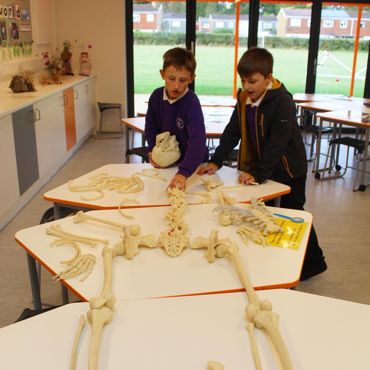 LoseleyFields's tweet photo. We recently borrowed a box of bones from @haslemeremuseum and the children throughly enjoying seeing them during our lunchtime ‘drop in’ bone exhibition in the science lab.
#Science #Bones #Skeleton #LoseleyFields #HaslemereMuseum #Binscombe #Farncombe #Godalming https://t.co/7aX8yxMfxB